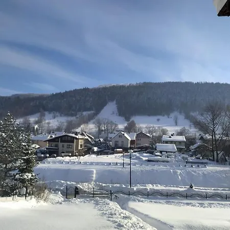 Nad żylicą Domek alpejski *